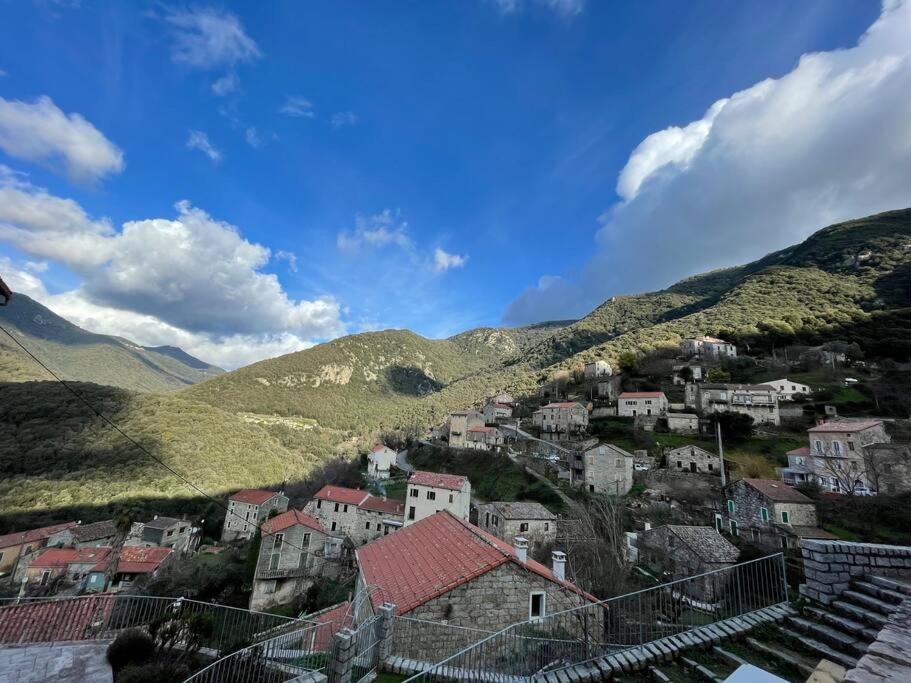 Casa Arena Authentique Maison De Village Avec Piscine Au Coeur De L'Alta Rocca - Zoza Buitenkant foto