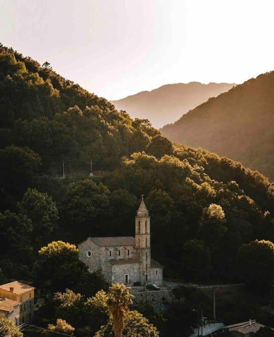 Casa Arena Authentique Maison De Village Avec Piscine Au Coeur De L'Alta Rocca - Zoza Buitenkant foto