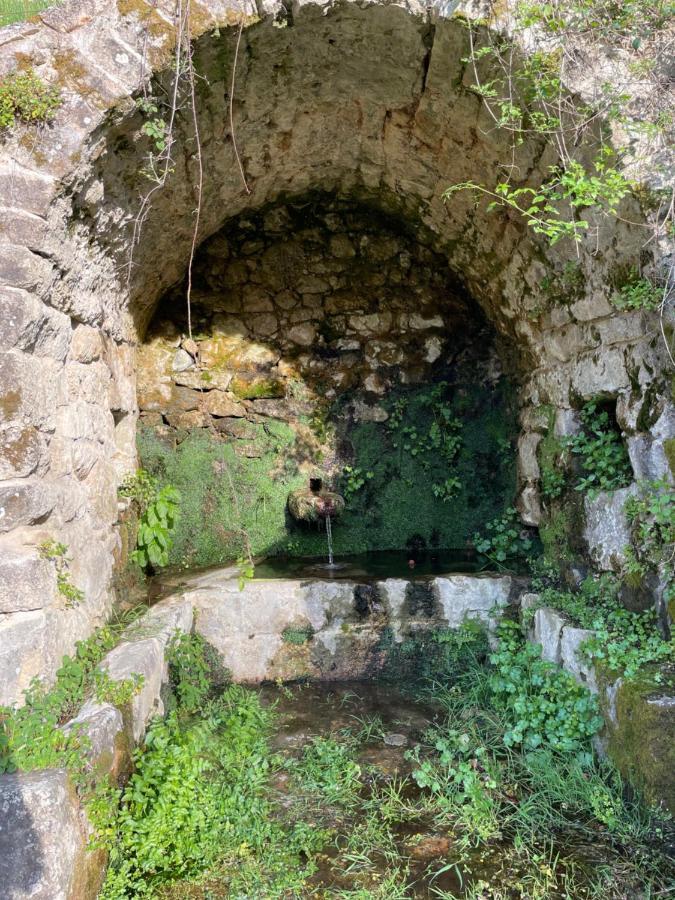 Casa Arena Authentique Maison De Village Avec Piscine Au Coeur De L'Alta Rocca - Zoza Buitenkant foto